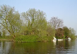 Thames Ditton Island