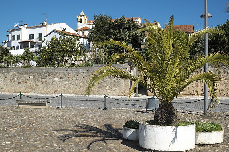 File:Tancos (Vila Nova da Barquinha) 899.jpg