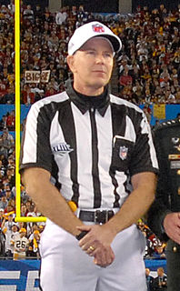 <span class="mw-page-title-main">Terry McAulay</span> American football official