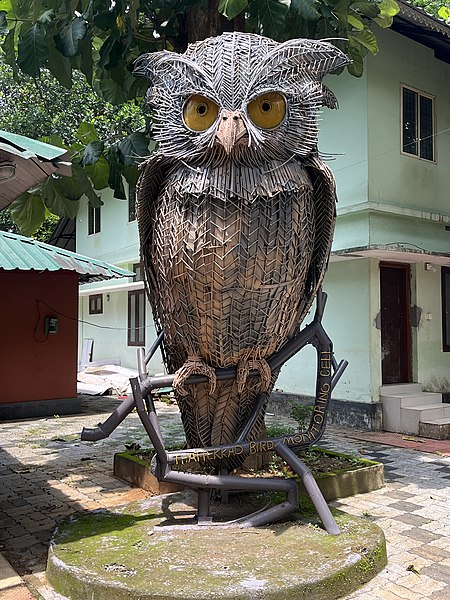File:Thattekad Bird Sanctuary - തട്ടേക്കാട് പക്ഷി സങ്കേതം 01.jpg