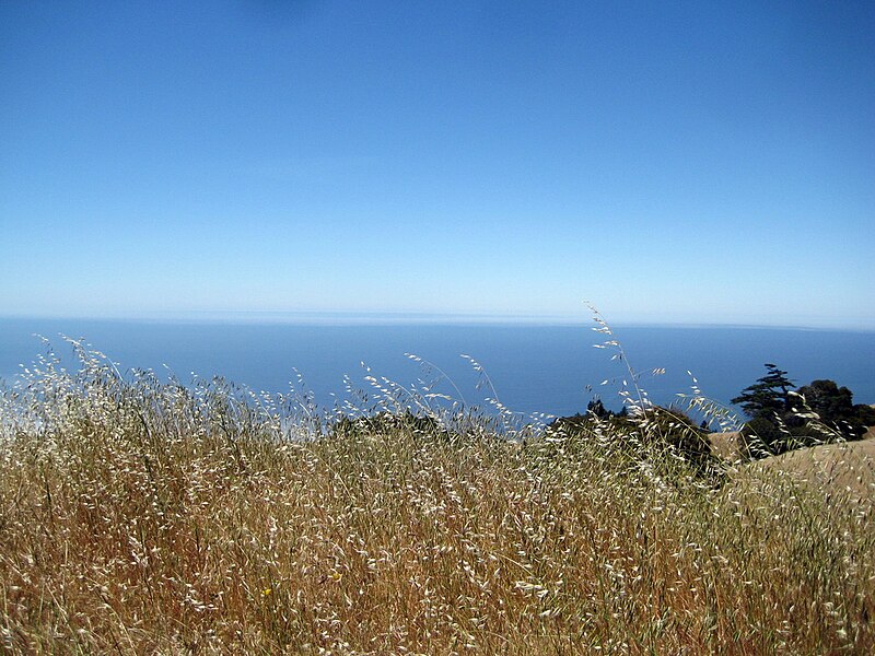 File:The Californian Coast.jpg