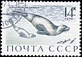 Русский: Почтовая марка СССР. 1971. Тюлень крылатка