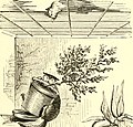 "The_amateur's_greenhouse_and_conservatory_-_a_handy_guide_to_the_construction_and_management_of_planthouses,_and_the_selection,_cultivation,_and_improvement_of_ornamental_greenhouse_and_conservatory_(14785317623).jpg" by User:Fæ