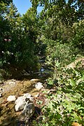 The river Charadra at the Amphiareion (Oropos) on July 24, 2020.jpg