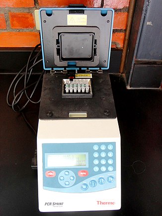 PCR can be used to diagnose the parasite Entamoeba histolytica