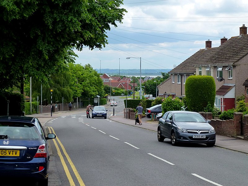 File:Thornwell Road - geograph.org.uk - 2988768.jpg