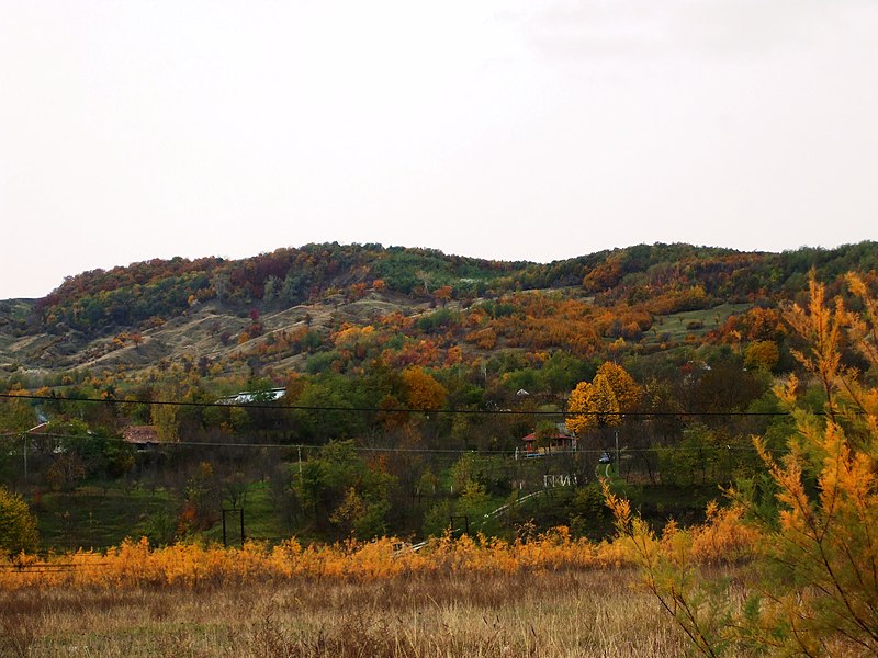 File:Toamna 2009,Tocileni - panoramio.jpg