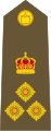 Brigadier (Tongan Land Component)※