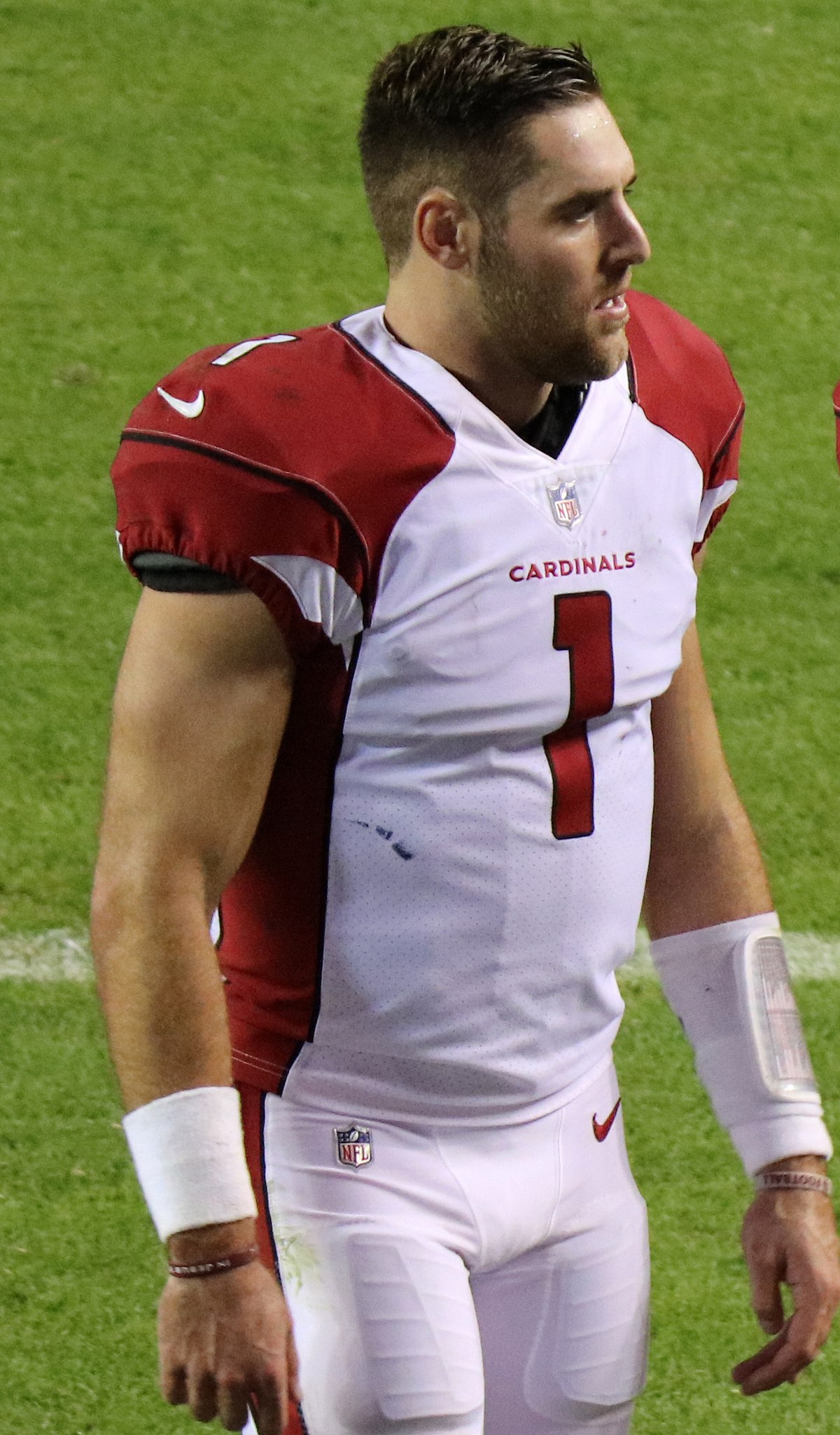 Carson Palmer - Wikipedia