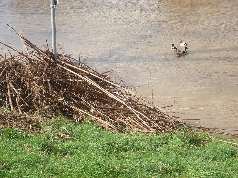 File:Trier Germany Flood.jpg