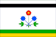 Tučín zászlaja