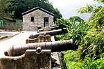 Lignooleoarba chung fort.jpg