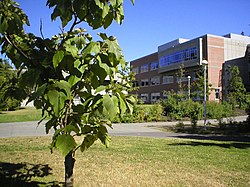 University Of Victoria: Geschichte, Fachbereiche, Der Campus