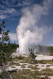 Union geyser, Shoshone Geyser Basin, 1955