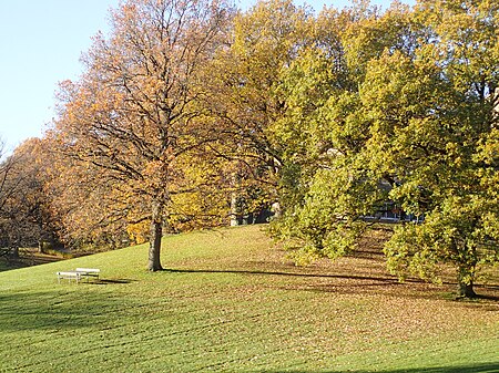 Universitetsparken (november).jpg