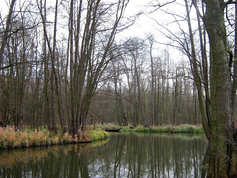 File:Unterspreewald-Gross-Wasserburger-Spree-01.jpg