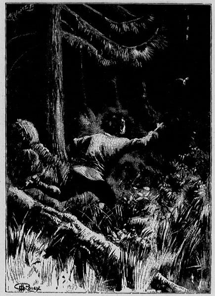 File:Verne - César Cascabel, 1890, figure page 0095.png