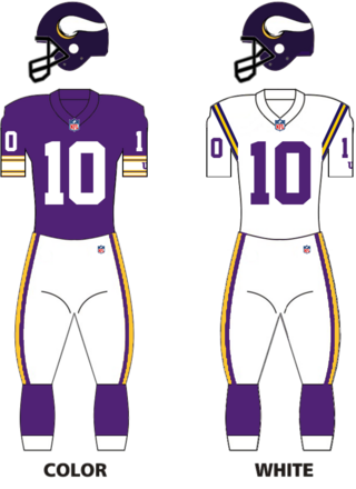 <span class="mw-page-title-main">1991 Minnesota Vikings season</span> NFL team season