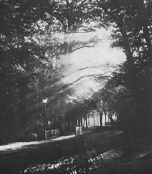 A little bridge in the Tiergarten park, 1866.