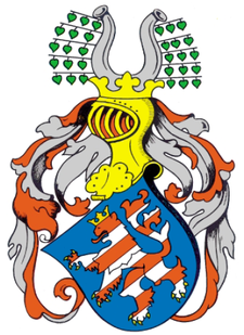 The arms of the landgraves of Thuringia Vollwappen Wettiner Landgraf Albrecht 1265.png