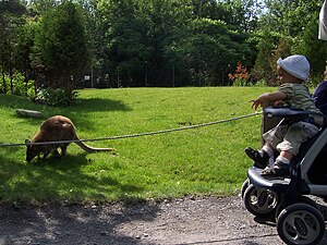 Zoológico de Granby