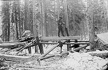 Whipsawing for boatbuilding in Alaska, late 19th century Whipsaw-1898.jpg