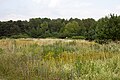 image=https://commons.wikimedia.org/wiki/File:Wiese_mit_Wildblumen_am_Freisinger_Buckl.jpg