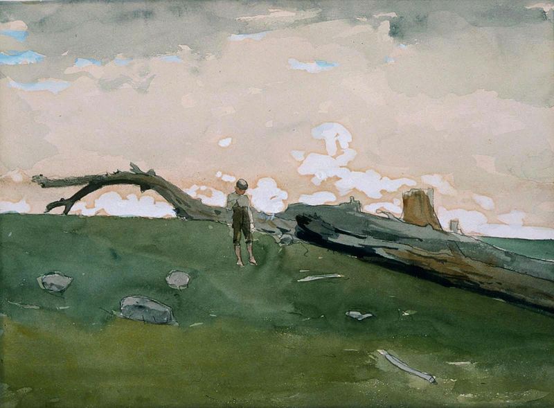 File:Winslow Homer - Boy and Fallen Tree (1879).jpg