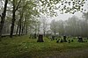 North Cemetery WorthingtonMA NorthCemetery.jpg