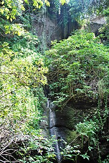 Cuernavaca - Wikipedia