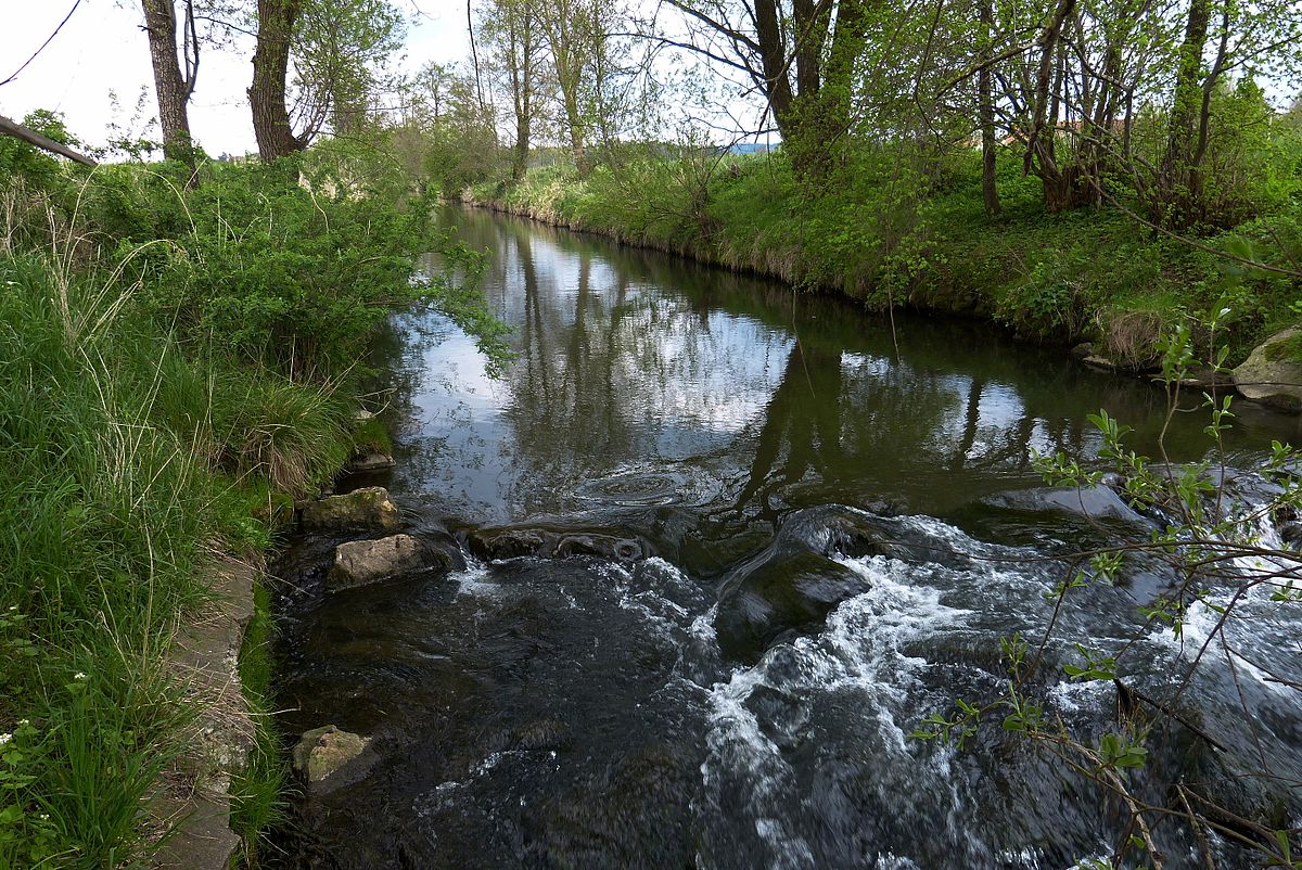 Раба (приток Дуная).