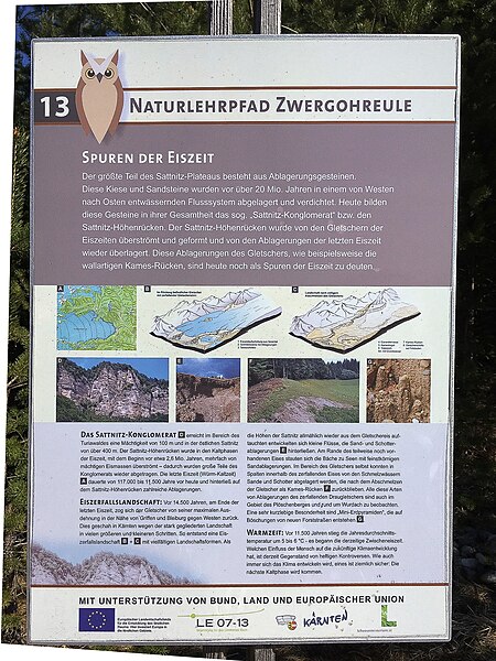 File:Zwergohreule Naturlehrpfad Köttmannsdorf, Bezirk Klagenfurt Land, Kärnten.jpg