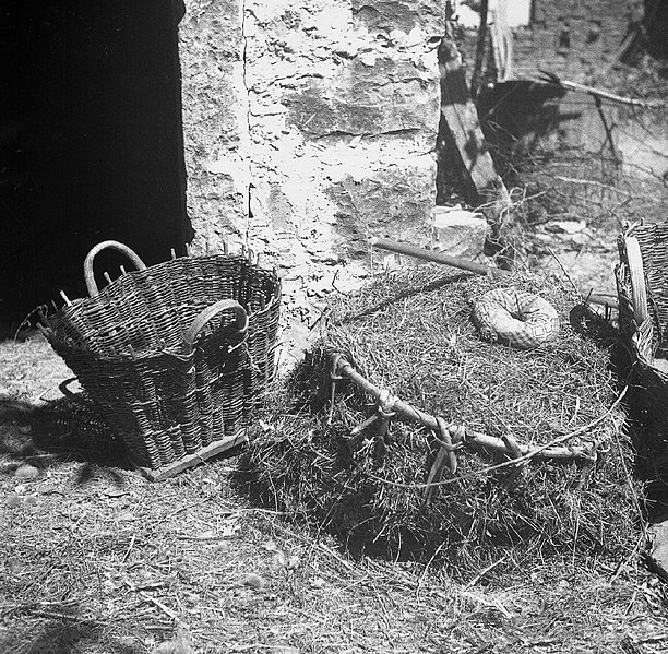 File:"Kofa"- koš za sadje in košara zraven, Topolovec 1950.jpg