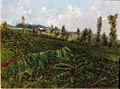 'Coffee Plantation, Puna' by D. Howard Hitchcock, 1890s.JPG