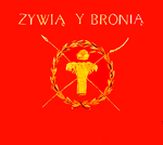 דגל יחידה פולנית בקרקוב