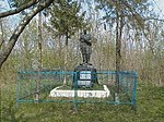 Братська могила радянських воїнів в с. Борщова.jpg