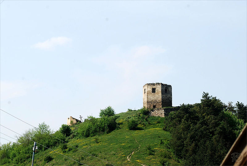 File:Замок у селі Висічка.jpg