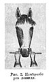 Рисунок к статье «Мундштук» № 2. Измерение рта лошади. Военная энциклопедия Сытина (Санкт-Петербург, 1911-1915).jpg