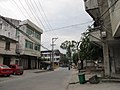 樟村街头 - panoramio.jpg