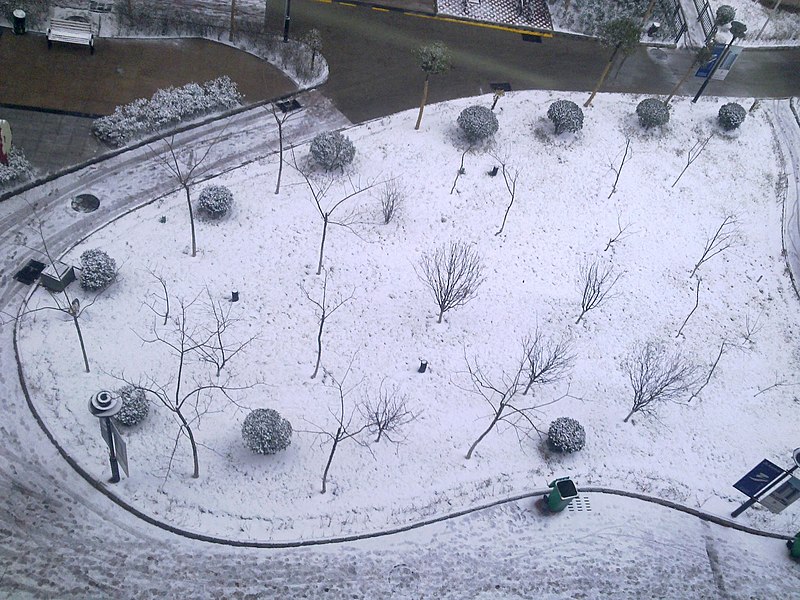 File:被雪覆盖的小树林 - panoramio.jpg