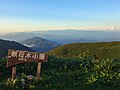 2021年6月16日 (水) 13:00時点における版のサムネイル