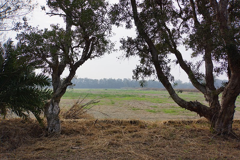 File:鰲鼓海埔新生地 Aogu Tidal Land - panoramio.jpg