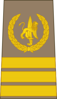 File:05-ROCongo Army-CSG.svg