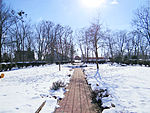 Polski: Pałac w Giżycach - park i brama English: Park of Manor in Giżyce This is a photo of a monument in Poland identified in WLM database by the ID 624426.