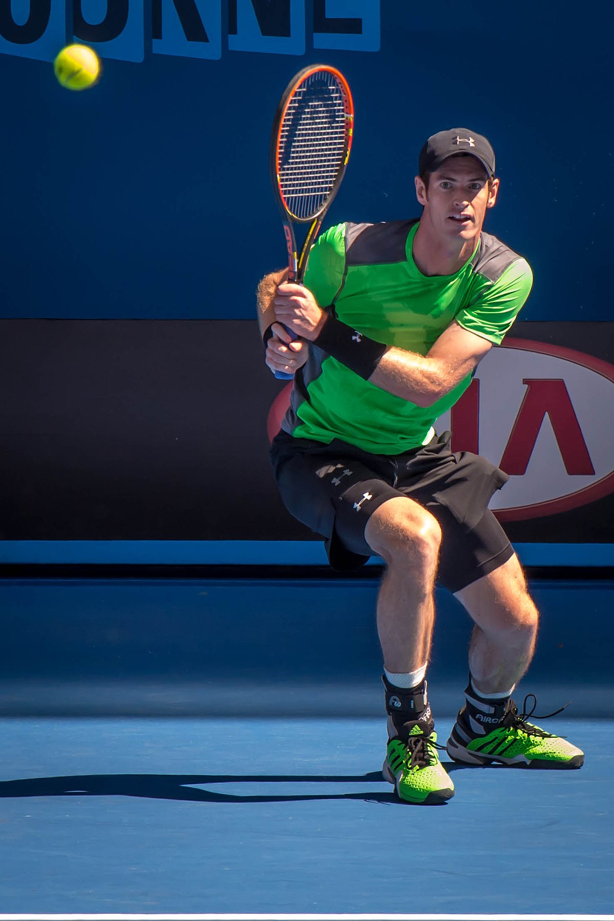 Archivo:2015 Australian Open - Andy 6.jpg - Wikipedia, la enciclopedia libre