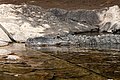 * Nomination Alligator mississippiensis head, Loro parque. Tenerife. --Lmbuga 10:29, 31 August 2018 (UTC) * Promotion  Support Good quality. --Poco a poco 12:44, 31 August 2018 (UTC)