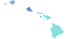 Results by county:
.mw-parser-output .legend{page-break-inside:avoid;break-inside:avoid-column}.mw-parser-output .legend-color{display:inline-block;min-width:1.25em;height:1.25em;line-height:1.25;margin:1px 0;text-align:center;border:1px solid black;background-color:transparent;color:black}.mw-parser-output .legend-text{}
Ige--50-60%
Ige--40-50%
Hanabusa--40-50%
No data 2018 HI gubernatorial Democratic primary.svg