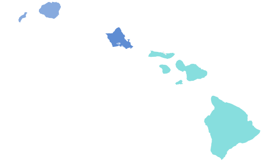 File:2018 HI gubernatorial Democratic primary.svg