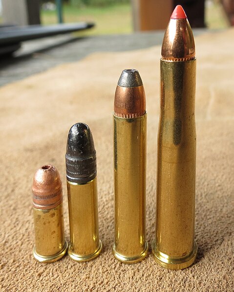 File:22 short 22 long rifle 22 magnum 22 hornet.JPG