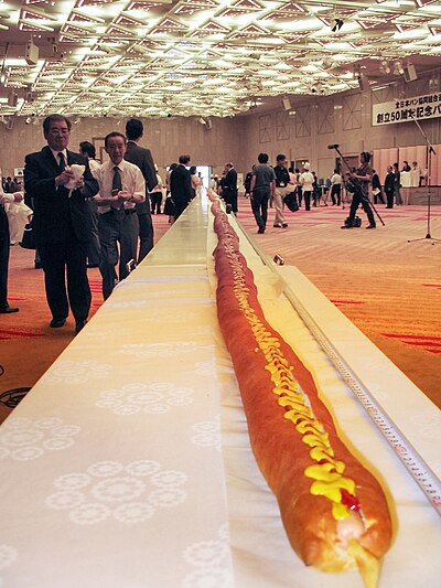 World's longest hot dog